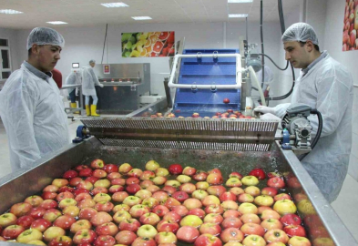 Meslek Lisesi’nde Meyve Kurutma Tesisi Kuruldu