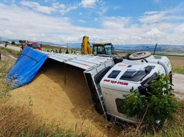 Tır Devrildi, Tonlarca Buğday Yol Kenarına Döküldü