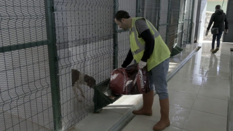 Otelden Konforlu Hayvan Barınağı