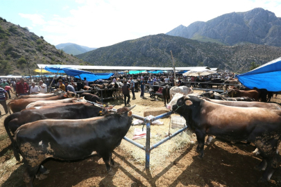 Şap Hastalığına Karşı Hayvan Pazarları Kapatıldı