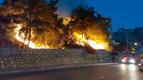 Amasya’da ormanlık alanda çıkan yangın söndürüldü