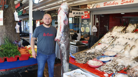 1 metre 70 santimlik yayın balığı görenleri şaşırttı