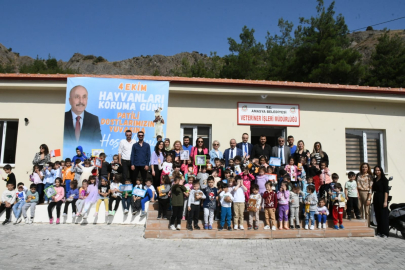 ‘Nefret bir zehir, sevgi ise onun panzehridir’