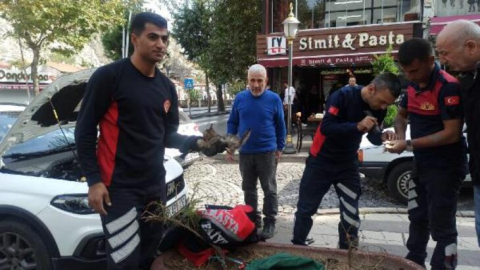 Motor kısmına sıkışan yavru kedileri itfaiye kurtardı