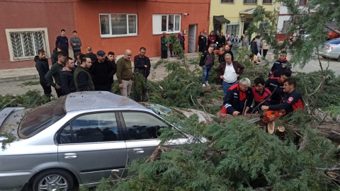 Amasya’da fırtınadan etkilenen ağaç otomobilin üzerine devrildi