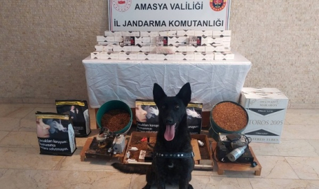 Polis köpeği ‘Çilek’ten kaçakçılara darbe