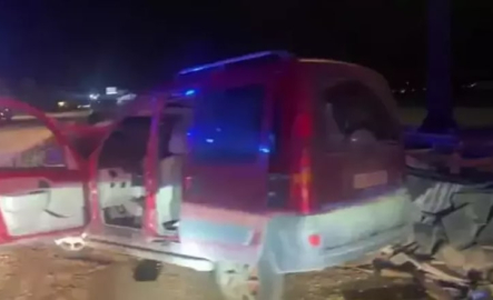 Yola çıkan köpek kazaya neden oldu: 2 yaralı