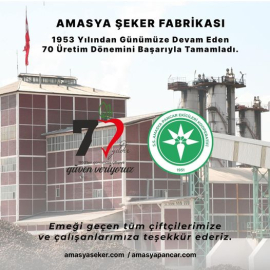 Şeker Pancarları, Amasya Üniversite tarafından incelenecek