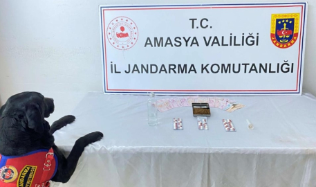 Uyuşturucu operasyonuna 1 gözaltı