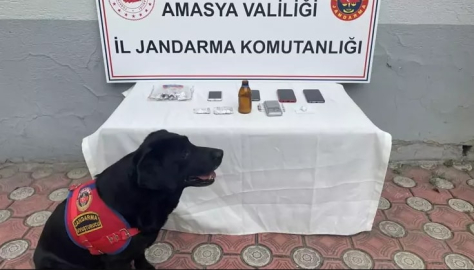 Uyuşturucu operasyonu: 1 tutuklama