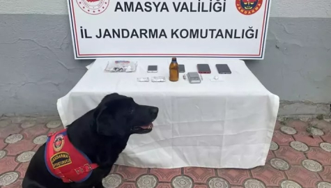 Uyuşturucu operasyonunda 1 tutuklama