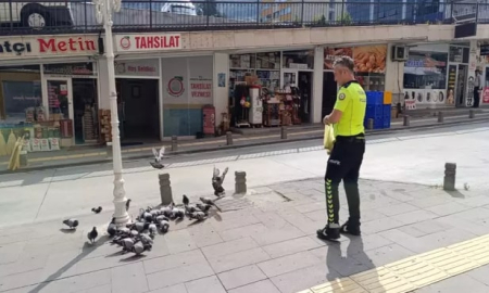Göreve giden polis, güvercinleri besledi