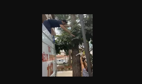 Ağaçta mahsur kalan evcil kediyi sağlık ekipleri kurtardı