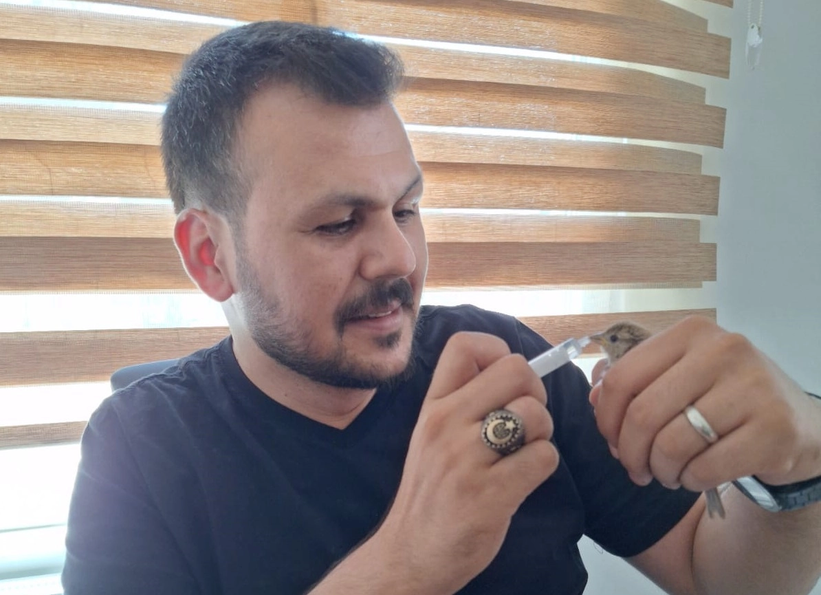 Yavru serçe, Amasya Belediyesi’nin misafiri oldu