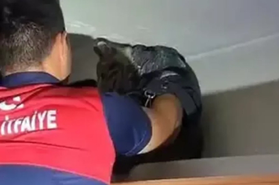 Baca deliğine düşen kediyi itfaiye kurtardı