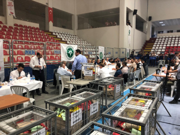 Saatci, Güven tazeledi