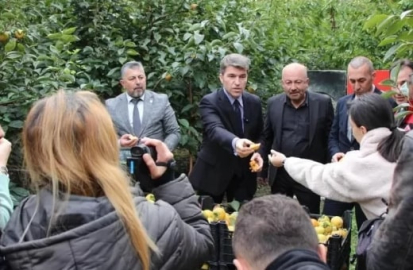 Vali Bakan, cennet hurması hasat etkinliğine katıldı