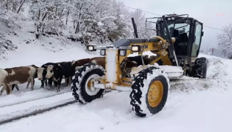 Amasya'da Kar Yağışı 107 Köy Yolunu Kapadı