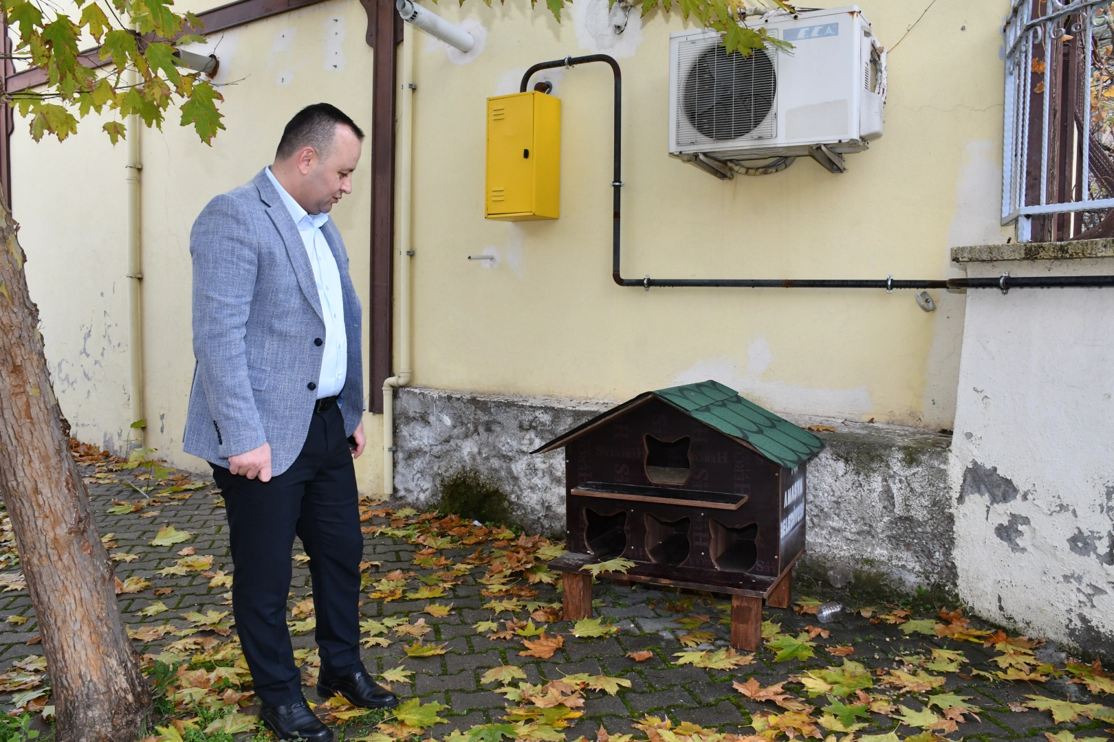 Amasya Belediyesi’nden 20 noktaya kedi evi