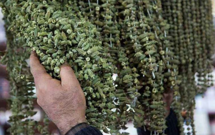 Çiçek bamyası düşüşe geçti