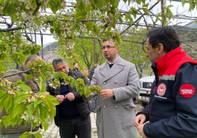 Uzun, zirai dondan hasar gören tarım arazilerini inceledi