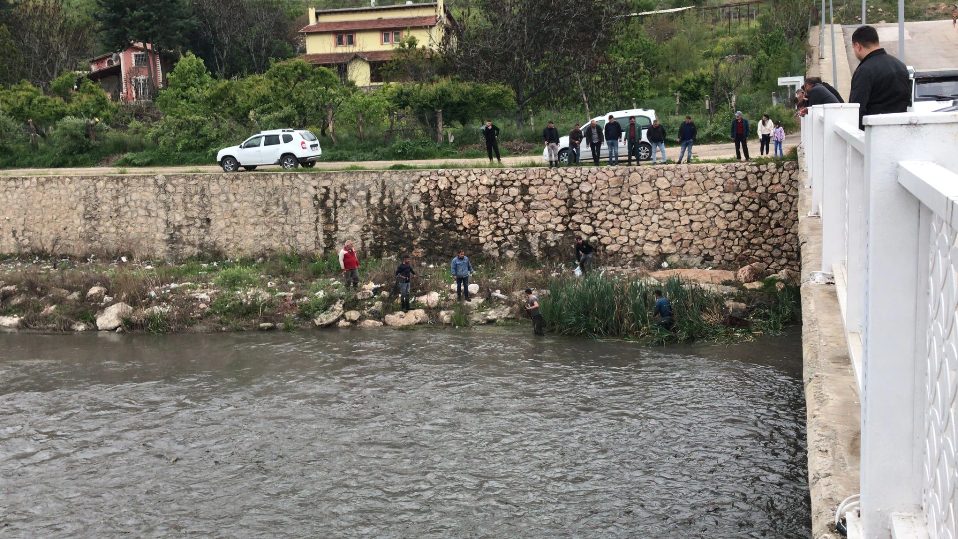 Yeşilırmak’taki balık ölümleri korkuttu