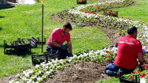 Amasya yaz sezonunu rengarenk geçirecek