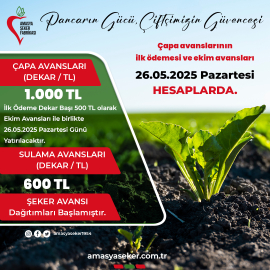 Çapa avansları 26 Mayıs’ta hesaplarda