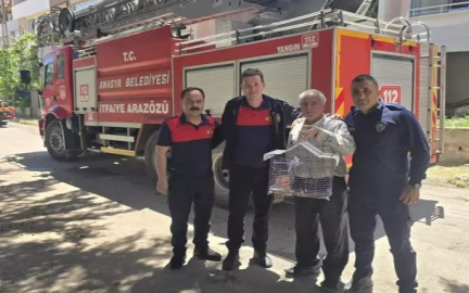 Muhabbet kuşunu kurtaran sahibi ağaçta mahsur kaldı
