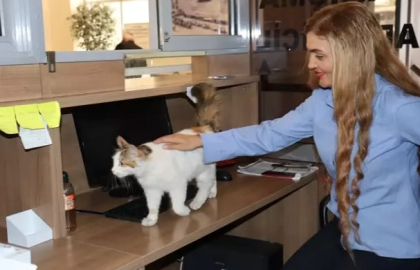 Adliye’nin sevimli kedisi ‘Adalet’