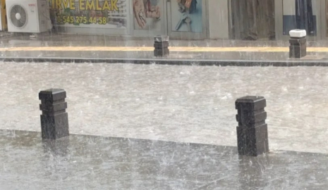 Sağanak yağış nedeniyle evleri su bastı, ağaçlar devrildi