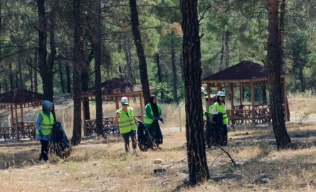 Ormanlara giriş Ekim ayına kadar yasak