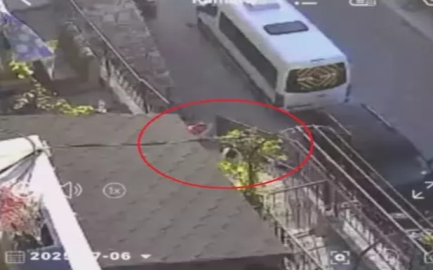 Sokak ortasında köpeği taş ve sopayla dövdü