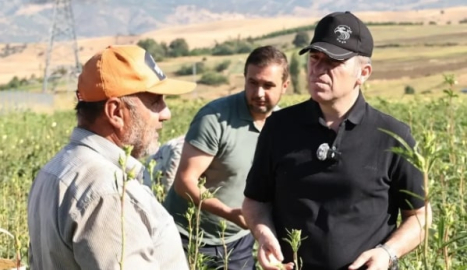 Vali Bakan, çiçek bamyası hasadına katıldı