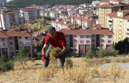Buketini 100 TL’den satıyor