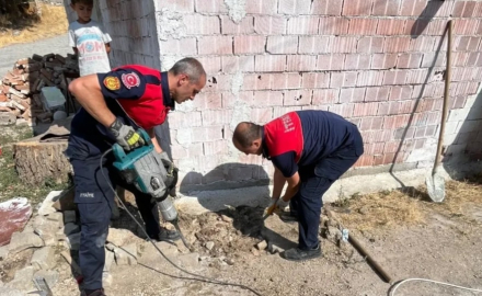 Yavru köpekler 4 saatlik operasyonla kurtarıldı