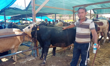 Hayvan pazarına pasaportsuz girişler yasak