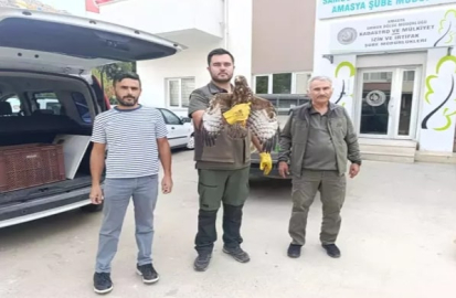 Yaralı Şahin’i Doğa Korumaya teslim etti