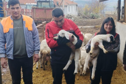 Hayvancılık işletmelerine denetleme