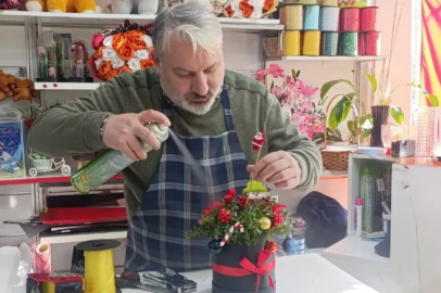 Amasya’da kokina mesaisi