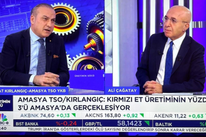 Amasya Ekonomisini CNBC-e’de Anlattı