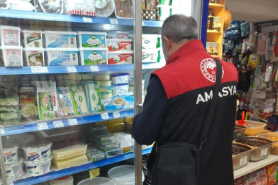 Mevzuata aykırı gıdalara geçit yok