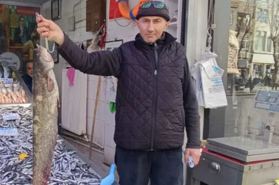 Balık tezgahının yıldızı yayın balığı