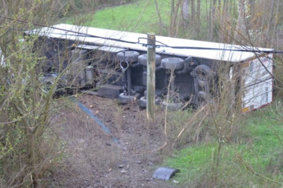 Et yüklü TIR şarampole devrildi