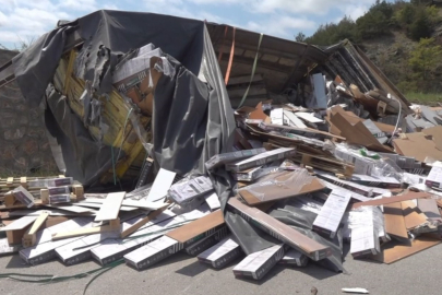 Parke yüklü kamyon devrildi: Sürücü hayatını kaybetti