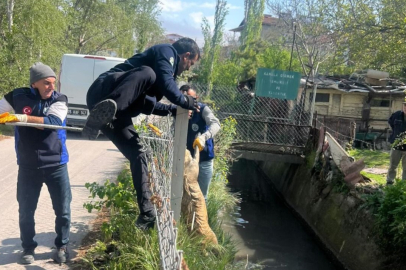 Ekipler, Sulama kanalına düşen köpeği kurtardı