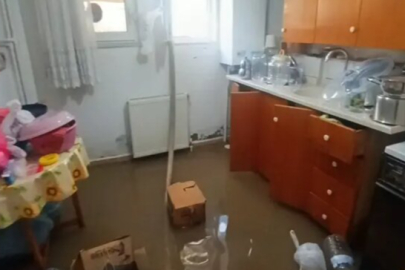 Yeşilırmak taştı, bazı evleri su bastı