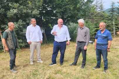 Türkiye'deki 4 büyük güreş şampiyonasından birisi Amasya'da yapılacak