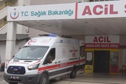 Ceviz ağacından düşen kişi hayatını kaybetti